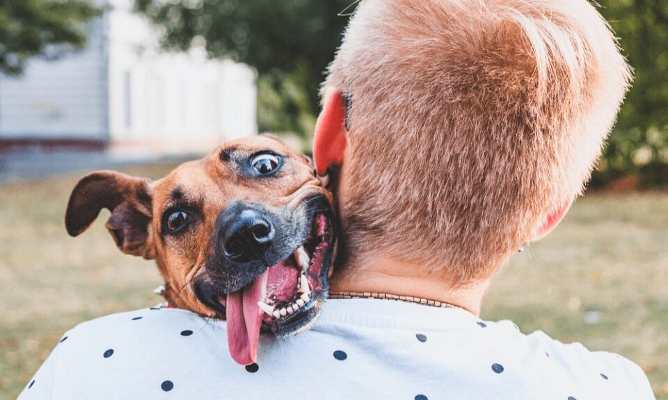 Majitelka drží v náručí své divoké štěně. Štěně se tváří šťastně, vesele a trochu bláznivo.