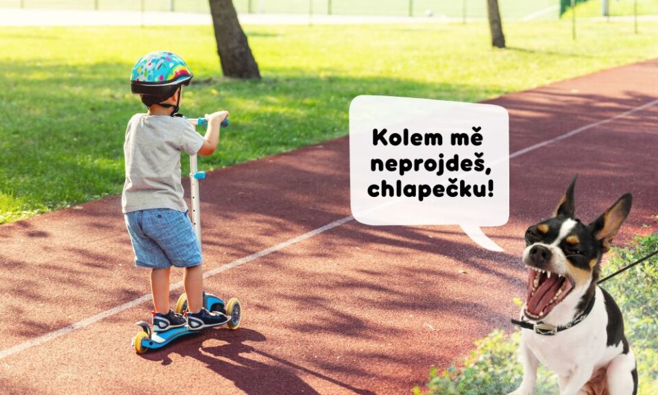 Pes kouká na kluka na koloběžce a říká si: 